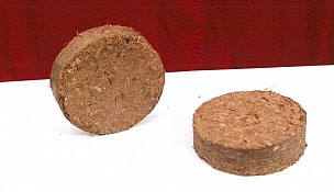 Coco Peat Briquettes